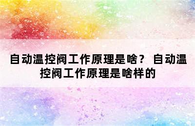 自动温控阀工作原理是啥？ 自动温控阀工作原理是啥样的